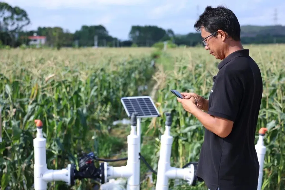 全国74席，，，，，bet9九州官网控股独占两席！入选农业村落部智慧种植典型案例