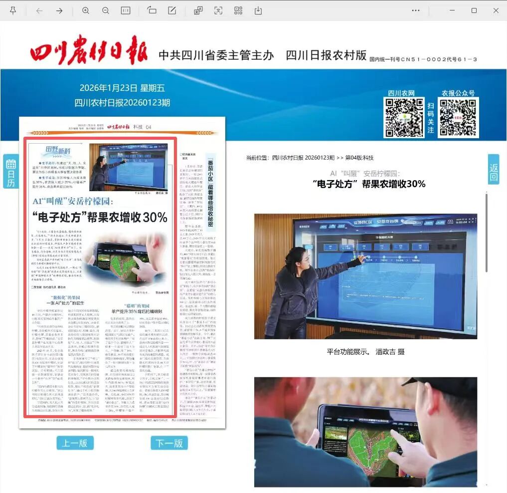 四川村落日报出格报路：AI“唤醒”安岳柠檬园 一张“电子处方”若何让果农增收三成