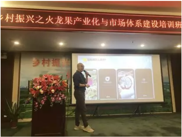 火龙果4.png